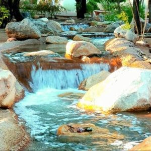 Meet your Posher, Wendi